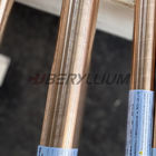 Nickel Beryllium Copper UNS. C17510 Rods